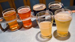 Pilot Batch Wednesday at Aardwolf Brewing Company